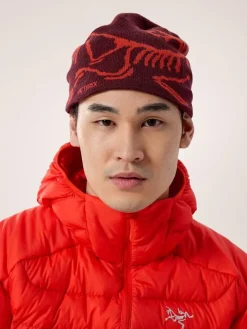 DAMES Arcteryx Handschoenen, Hoofddeksels E.D.|Handschoenen, Hoofddeksels E.D.|Bird head toque