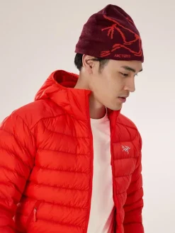 DAMES Arcteryx Handschoenen, Hoofddeksels E.D.|Handschoenen, Hoofddeksels E.D.|Bird head toque