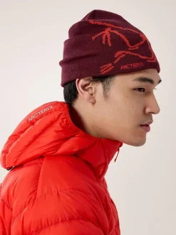 DAMES Arcteryx Handschoenen, Hoofddeksels E.D.|Handschoenen, Hoofddeksels E.D.|Bird head toque