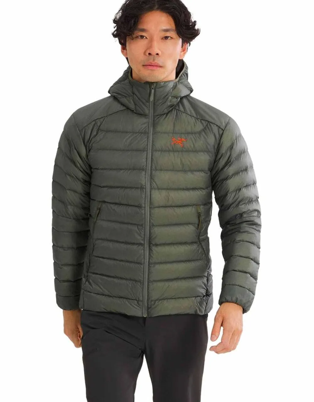 Heren Arcteryx Jassen Heren|Cerium Hoody M