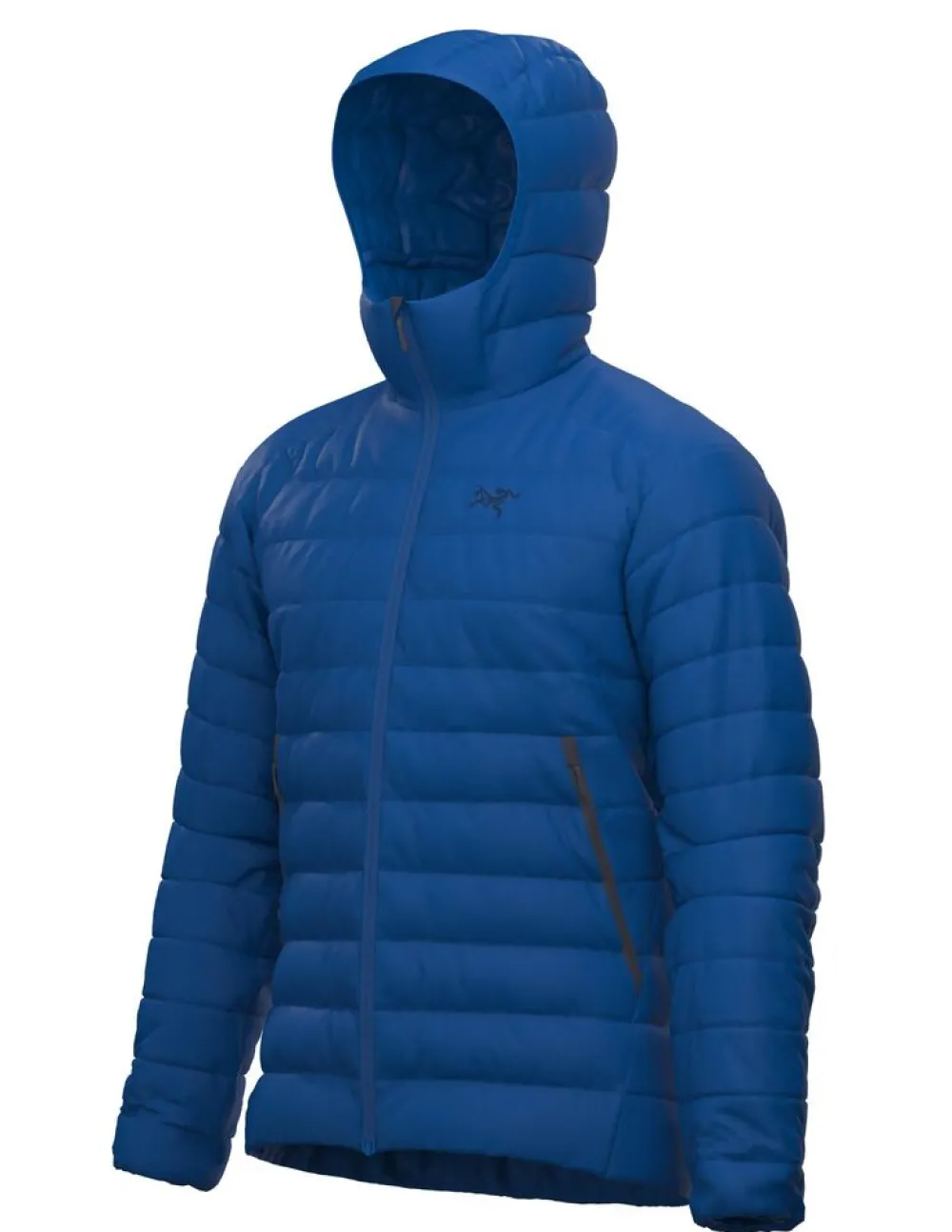 Heren Arcteryx Jassen Heren|Cerium Hoody M