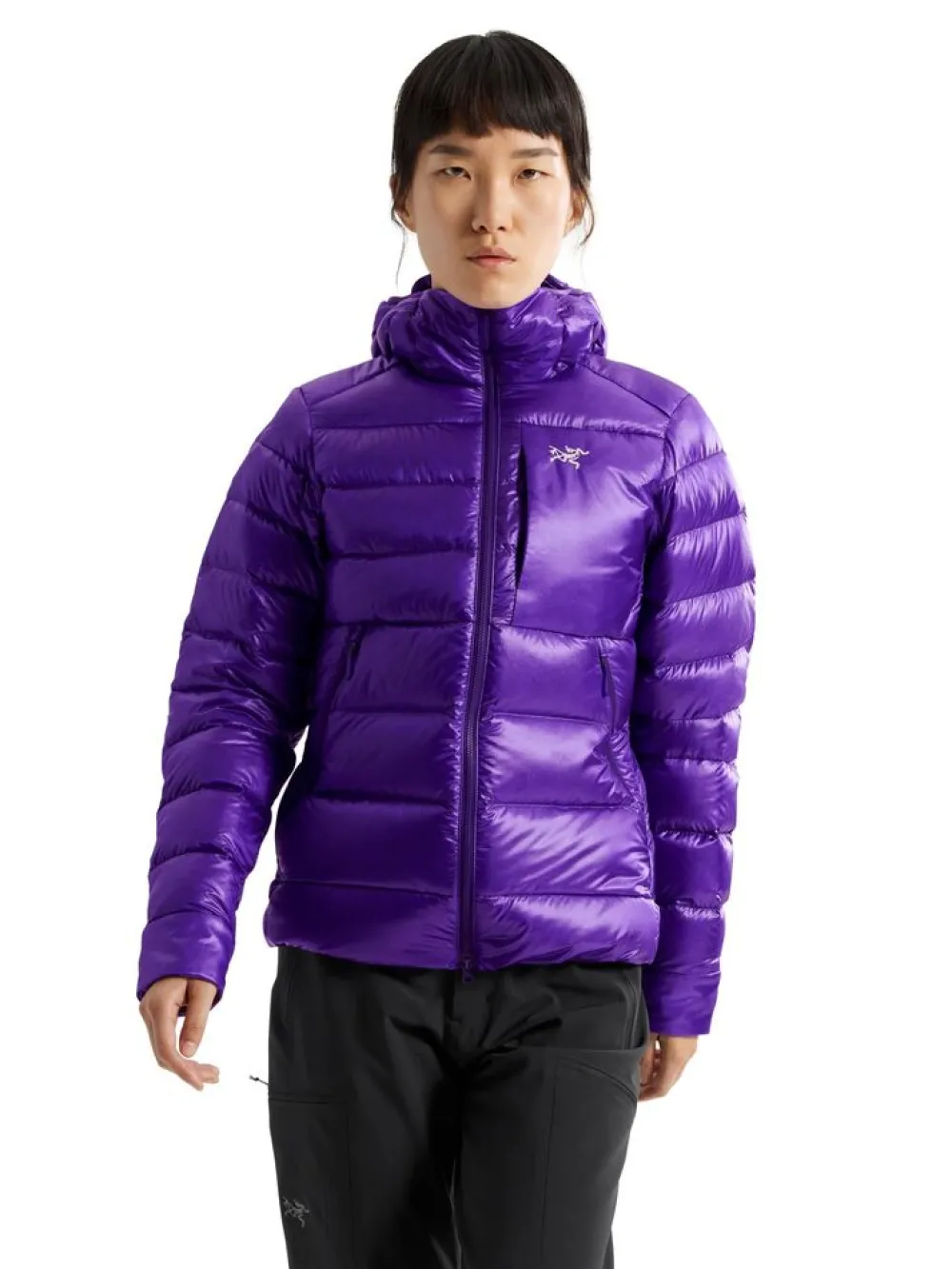 DAMES Arcteryx Jassen Dames|Cerium SV hoody W