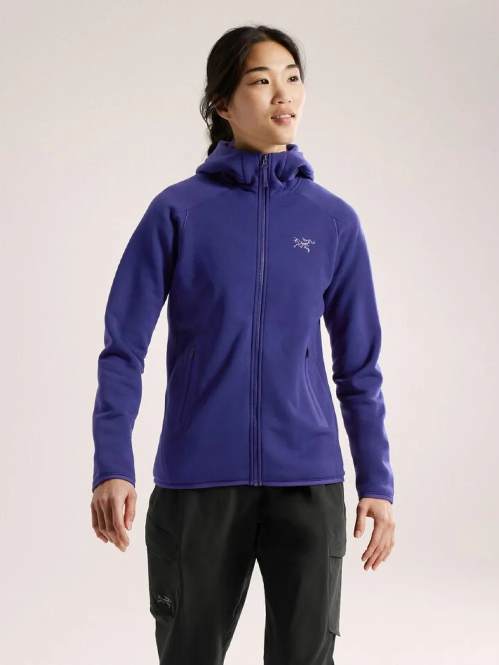 Heren Arcteryx Vesten|Kyanite Hoody W