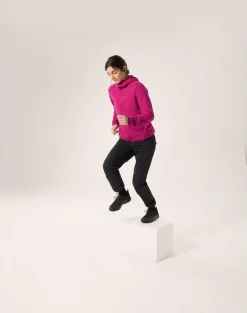 DAMES Arcteryx Jassen Dames|Proton LT hoody W