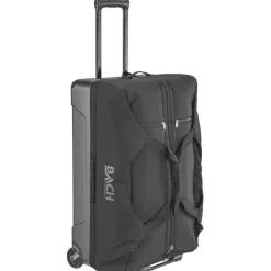 Bach Reistassen|Dr. Roll