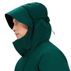 Heren Berghaus Jassen Heren|M Fernly GTX Down Parka AM