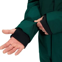 Heren Berghaus Jassen Heren|M Fernly GTX Down Parka AM