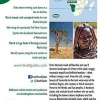 Bradt Travelguides Afrika|Namibia - reisgids Namibië