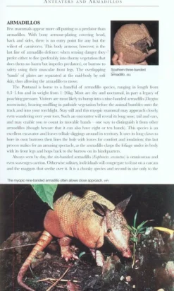 Bradt Travelguides Natuurgidsen|Zuid-Amerika|Wildlife of the Pantanal