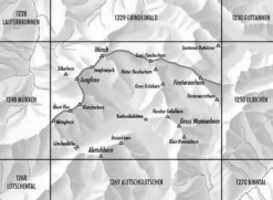 Bundesamt - Swisstopo Zwitserland|Topografische kaart 1249 Finsteraarhorn