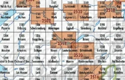 Bundesamt - Swisstopo Zwitserland|Topografische kaart 1210 Innertkirchen