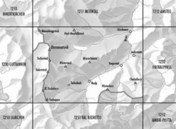 Bundesamt - Swisstopo Zwitserland|Topografische kaart 1231 Urseren