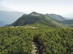 Cicerone Japan & Korea'S|Hiking & Trekking in the Japan Alps & Mount Fuji