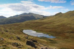 Cicerone Groot-Brittanië & Ierland|Langdale - Walking The Lake District Fells