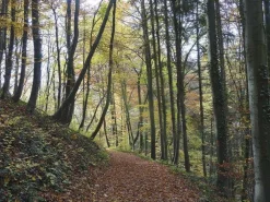 Cicerone Duitsland|Trekking the Westweg - Black Forest