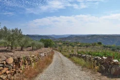 Cicerone Spanje & Portugal|Walking in Portugal