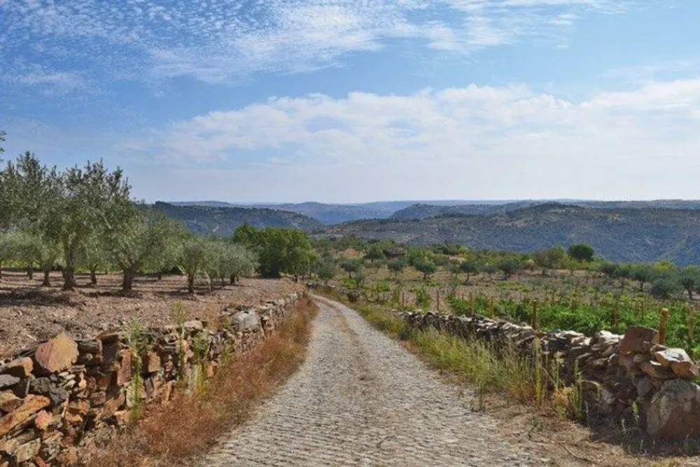 Cicerone Spanje & Portugal|Walking in Portugal