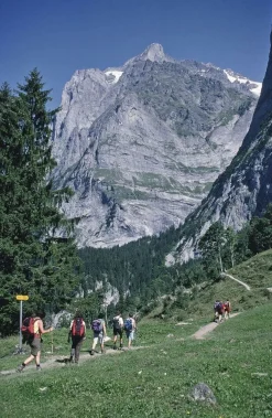 Cicerone Zwitserland|Wandelgids Tour of the Jungfrau Region