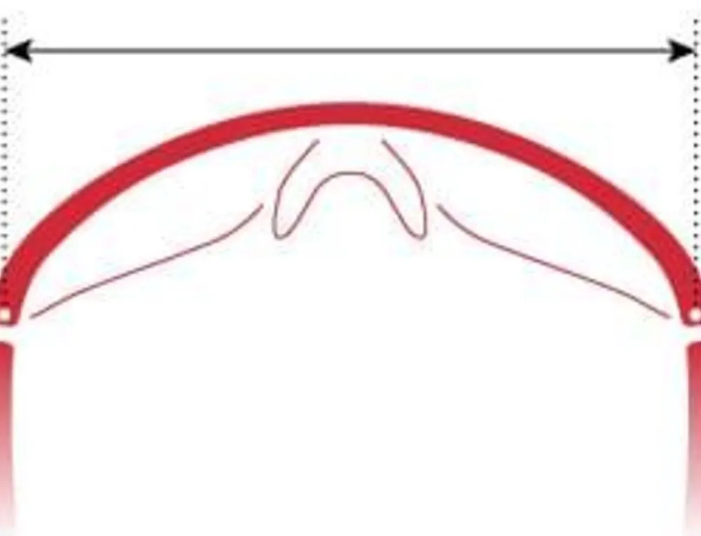 evil eye Sportbrillen|Sportbrillen|Elate NG LST bright vario purple mirror