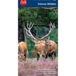 Falkplan Benelux|Veluwe Midden wandelkaart