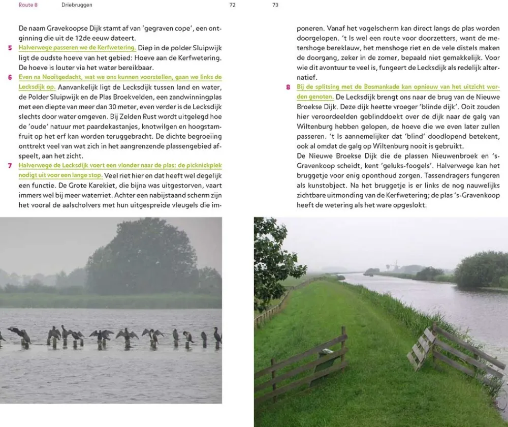 Gegarandeerd Onregelmatig Benelux|De groenste wandelingen in de Randstad