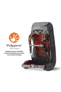 Gregory Dagrugzakken|Facet 45