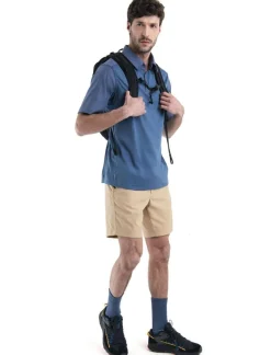 Heren Icebreaker Shirts Heren|M hike SS top