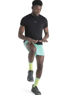 Heren Icebreaker Shirts Heren|M Merino 125 Cool-Lite™ Speed SS Tee