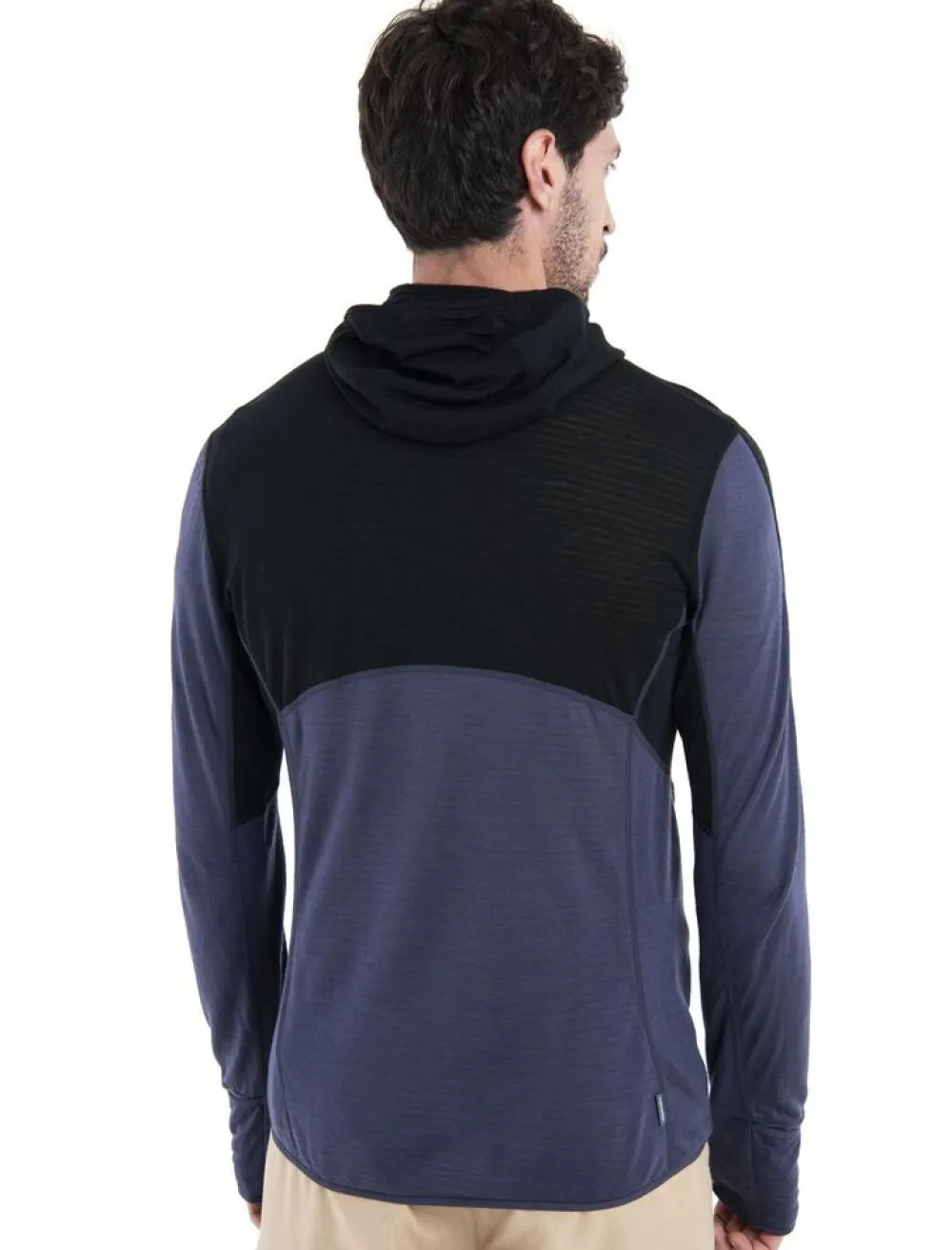 Heren Icebreaker Vesten|M Merino 200 RealFleece Descender hoody