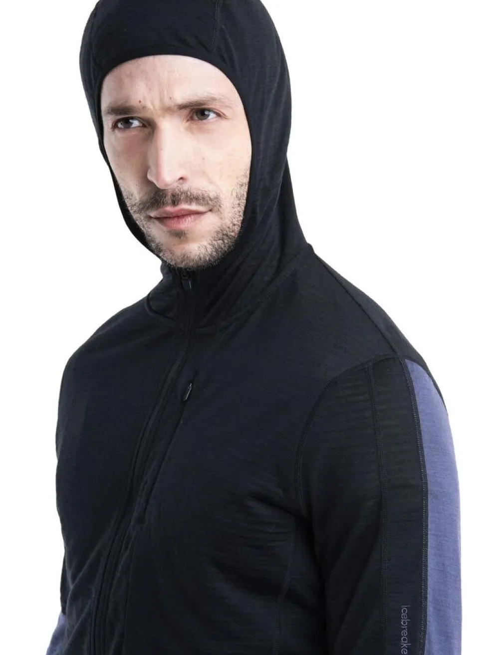 Heren Icebreaker Vesten|M Merino 200 RealFleece Descender hoody