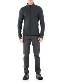 Heren Icebreaker Vesten|Mens descender ls zip