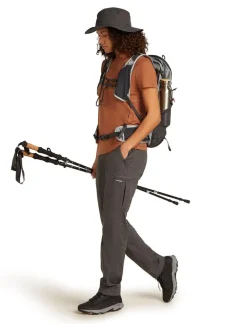 DAMES Icebreaker Shirts Dames|W Merino 150 Tech Lite ss Tee Adventure Ride