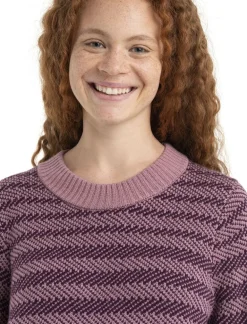 DAMES Icebreaker Truien|Wmns Waypoint crewe