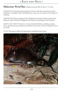 John Beaufoy Zuidoost-Azië|Natuurgids Mammals of Southeast Asia