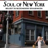 Jonglez Verenigde Staten|Soul of New York