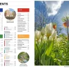 Lonely Planet Benelux|Netherlands 9
