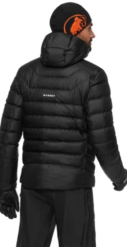 Heren Mammut Jassen Heren|Eiger Nordwand Light Down IN Hooded Jacket Men