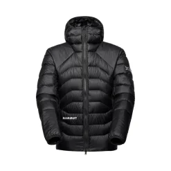 Heren Mammut Jassen Heren|Eiger Nordwand Light Down IN Hooded Jacket Men