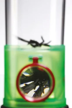 Kinderen Moses Kinderspeelgoed|Box met 3 kanten een loep 4 assorti