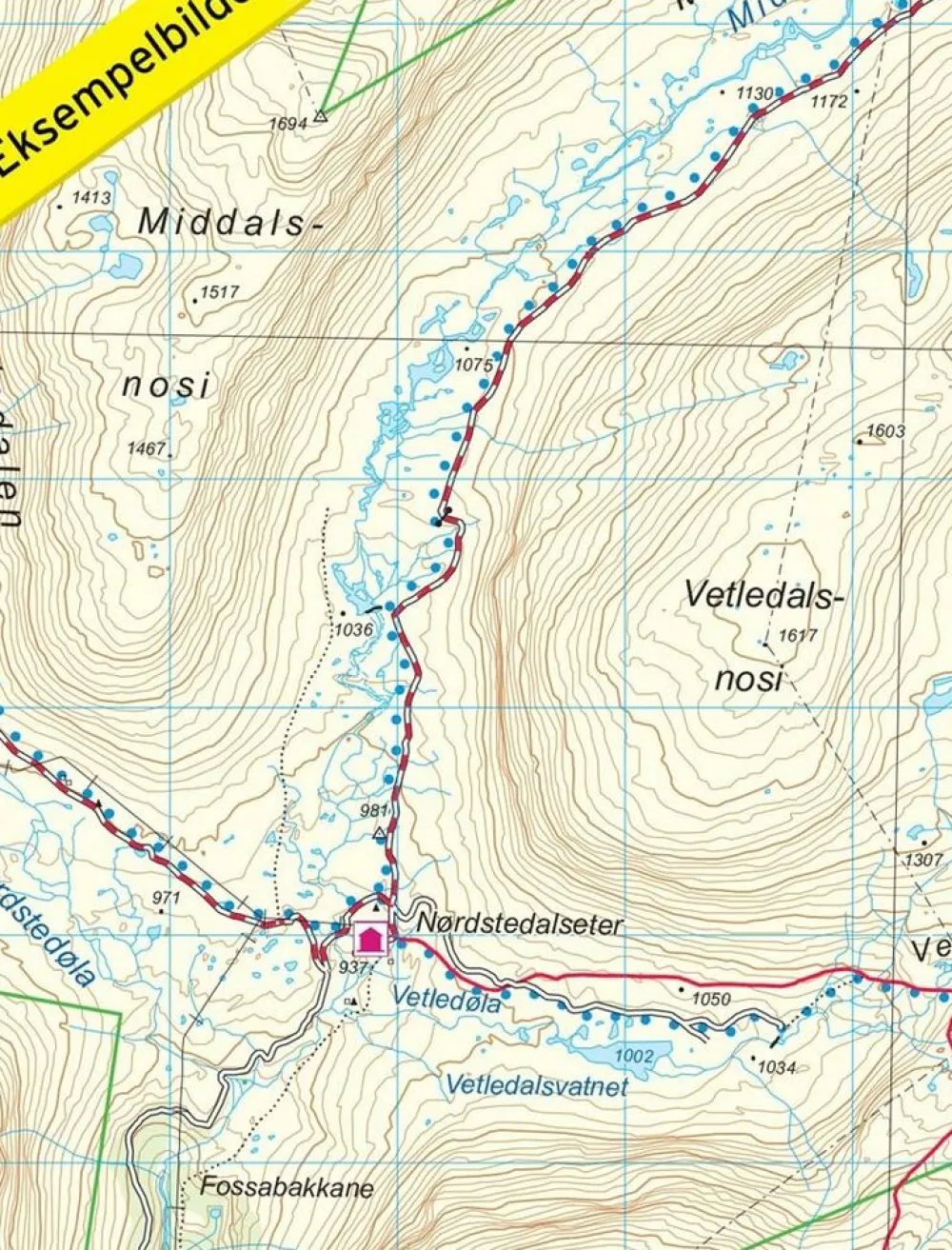 Nordeca Scandinavië & Ijsland|Wandelkaart 3023 Indre Etnefjell 1:50.000