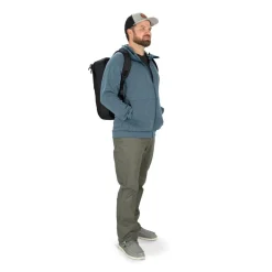 Osprey Dagrugzakken|Aoede briefpack 22