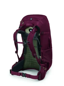 Osprey Reistassen|Fairview trek pack 50
