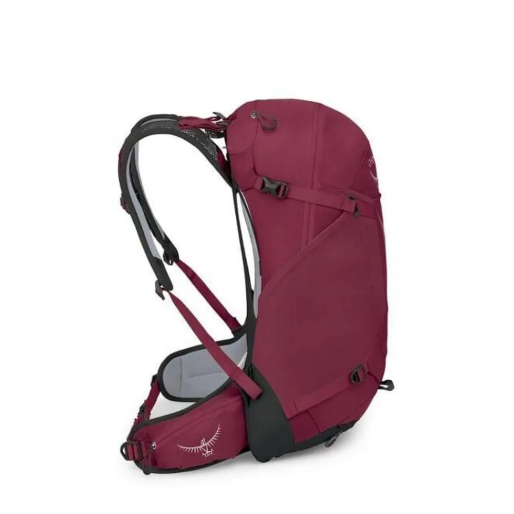 Osprey Dagrugzakken|Hikelite 28