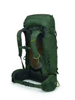 Osprey Dagrugzakken|Kestrel 38