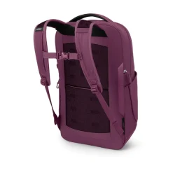 Osprey Dagrugzakken|Ozone Laptop backpack