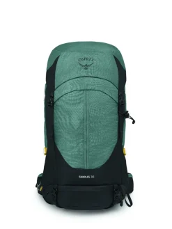 Osprey Dagrugzakken|Sirrus 36