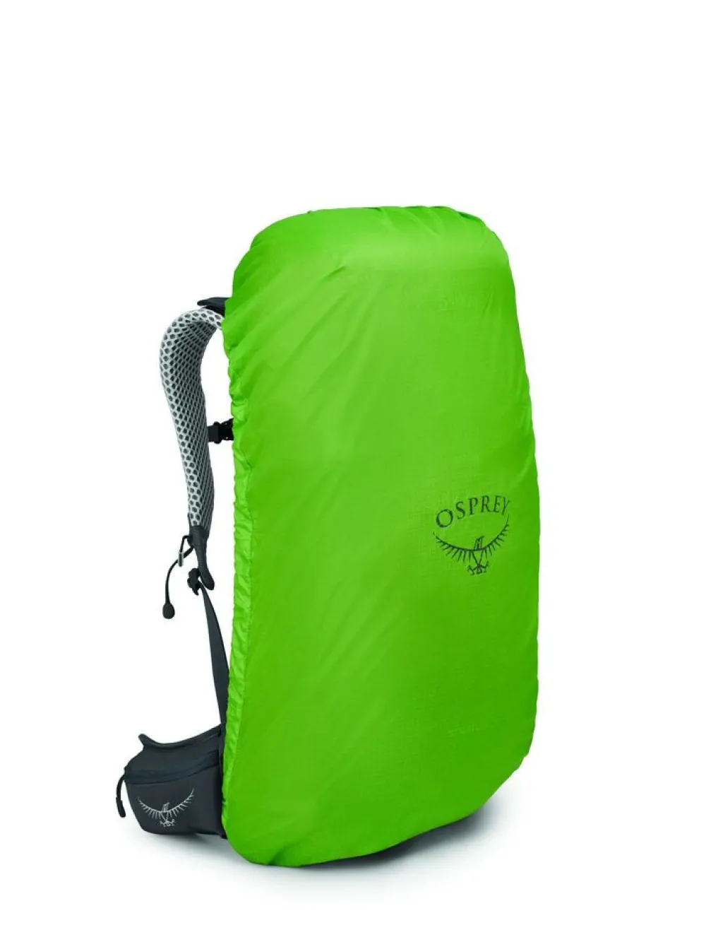 Osprey Dagrugzakken|Stratos 26