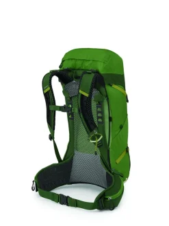 Osprey Dagrugzakken|Stratos 34