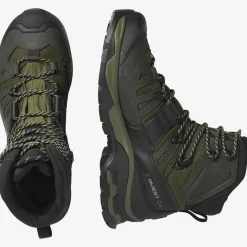 Salomon B-Bergwandelschoenen|Quest 4 GTX bergschoen