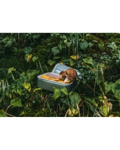 Sigg Opbergsystemen|Metal Box Plus S (pp Box Inlet) Small